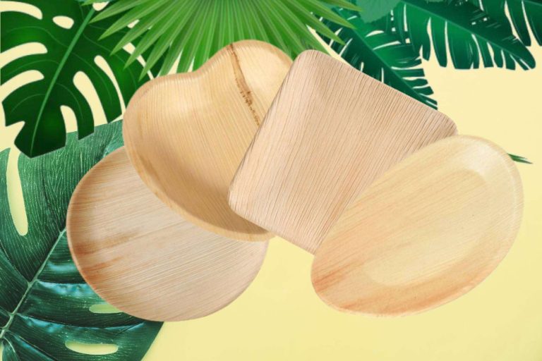 Los principales beneficios de los platos hoja de palma, por Vasomadrid
