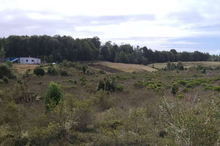 Laguna Quemchi, una firma centrada en la comercialización de terrenos en el sur de Chile