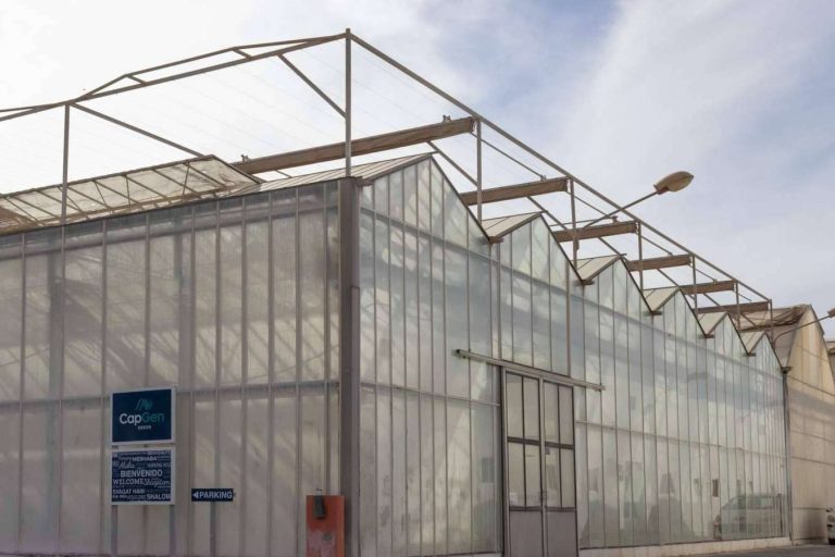 Investigación, desarrollo e innovación en semillas hortícolas, por CapGen Seeds