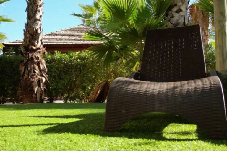 Mejorar el aspecto del jardín a la vez que se mejora el medioambiente, de la mano de Albergrass