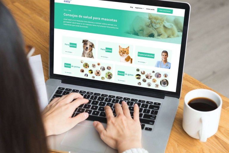 VetEasy, la plataforma que conecta a propietarios de mascotas con servicios veterinarios de calidad