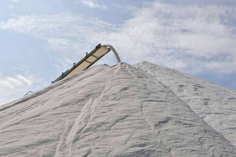 Bras del Port y las principales variedades y beneficios de la sal marina