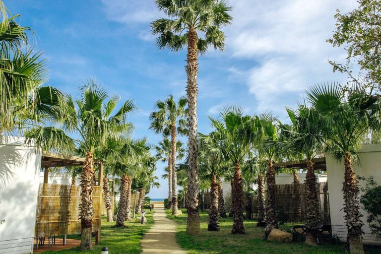 Parcelas en Alannia Els Prats y Alannia Costa Dorada; una excelente opción para disfrutar del camping junto al mar