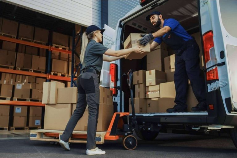 ¿Qué servicios ofrece la empresa Terra Logistika?