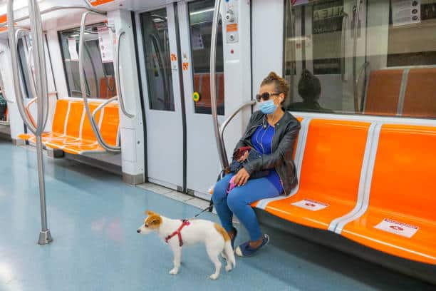 Estas son las normas para viajar con tu perro en el metro
