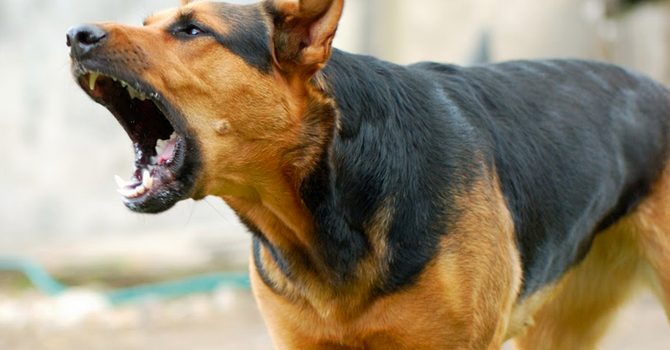 Hablar con el vecino: La importancia de la comunicación