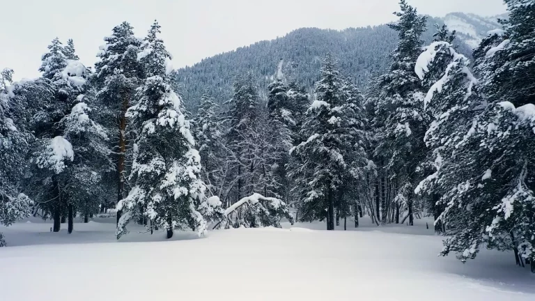 ¿Cuál es la ciudad más fría del mundo en invierno?