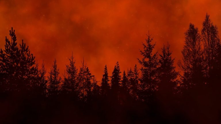 El evento que casi acaba con la humanidad: la erupción de Toba