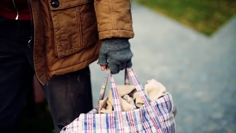 La palabra vagabundo, ¿cuál es su origen?