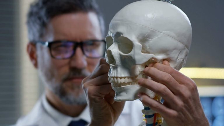 La cabeza, ¿a qué edad deja de crecer?