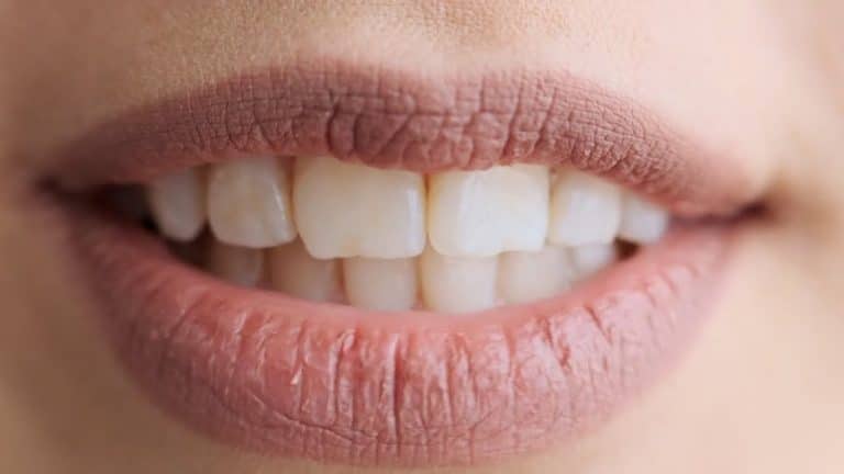 Curiosidades de los dientes