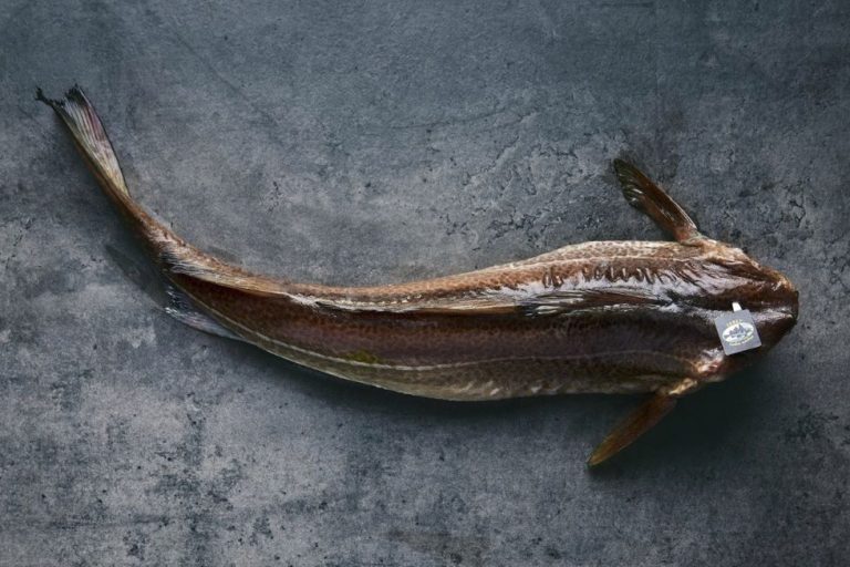 El sibarita skrei noruego conquista el mercado español con cifra histórica de ventas