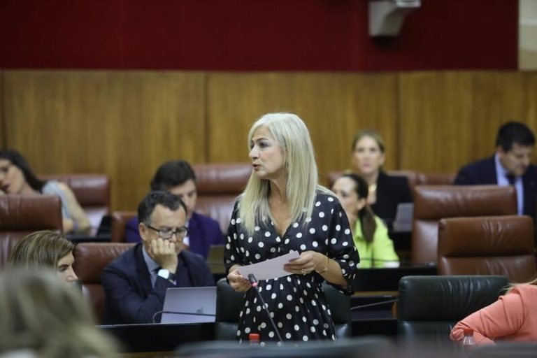 Gobierno andaluz defiende la comprensión lectora como 