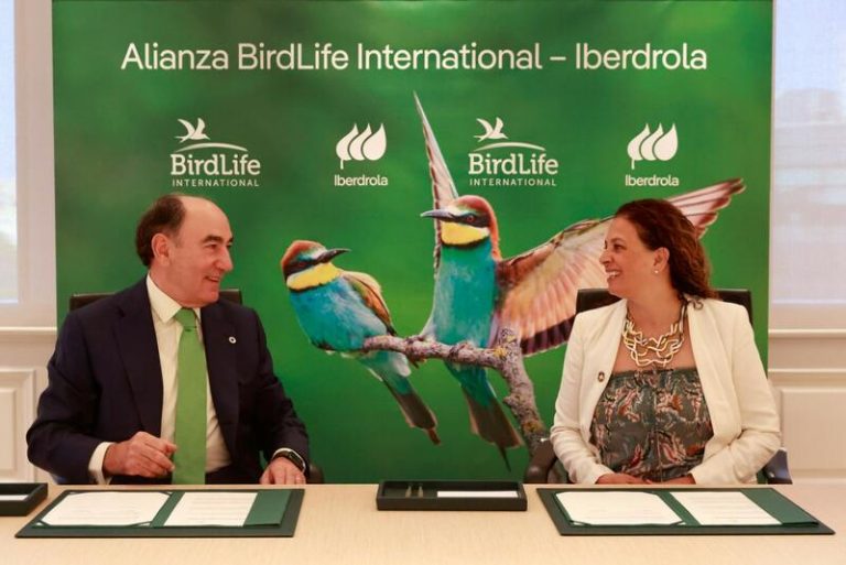Iberdrola y BirdLife International sellan una alianza para que el despliegue renovable no perjudique a la biodiversidad