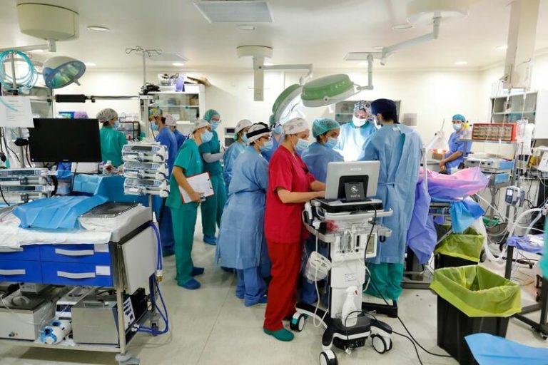 Una placenta artificial consigue una supervivencia del feto de 12 días en modelos animales