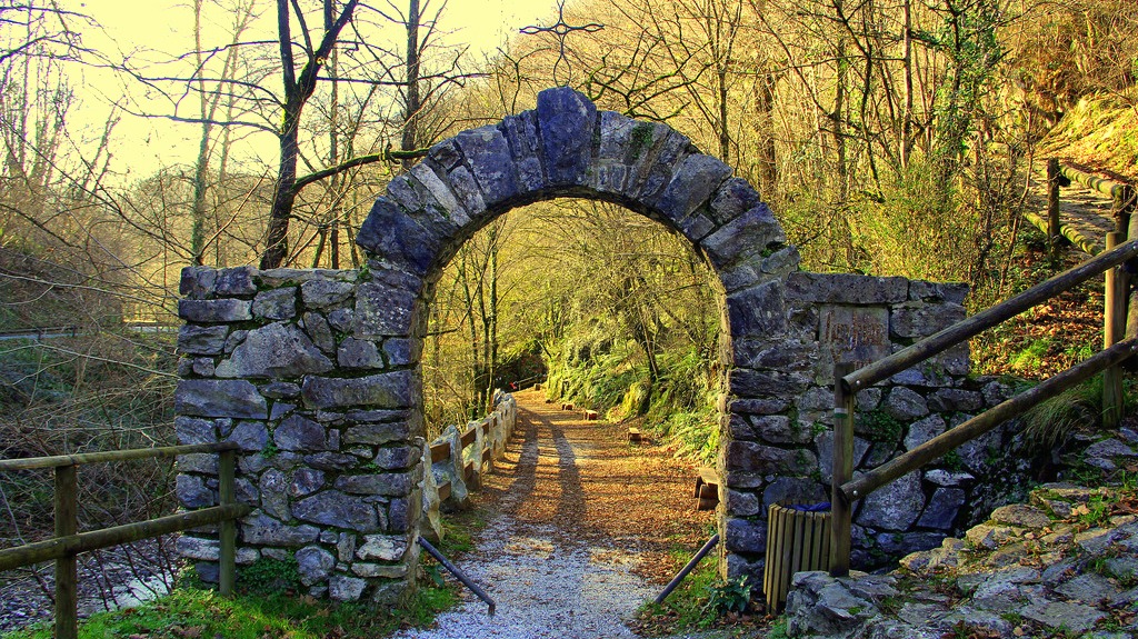 Bosque de San Juan Xar (Navarra): Espiritualidad entre sombríos senderos