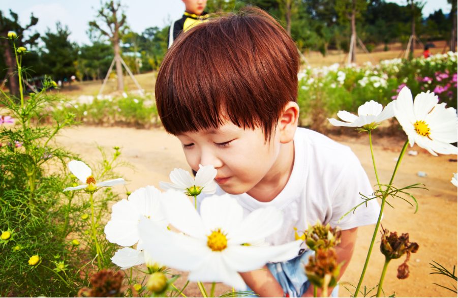 7 olores que seguro que te devuelven a la infancia