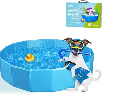 Amazon no dejes que tus mascotas pasen calor con esta increíble piscina plegable