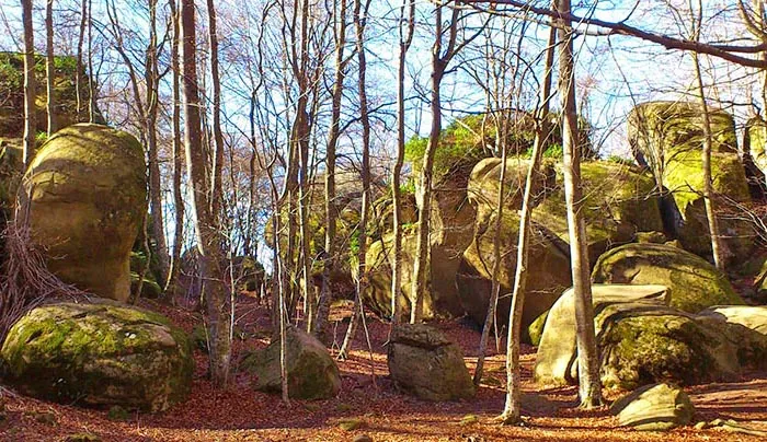 Los 6 bosques encantados de España que más mitos ocultan