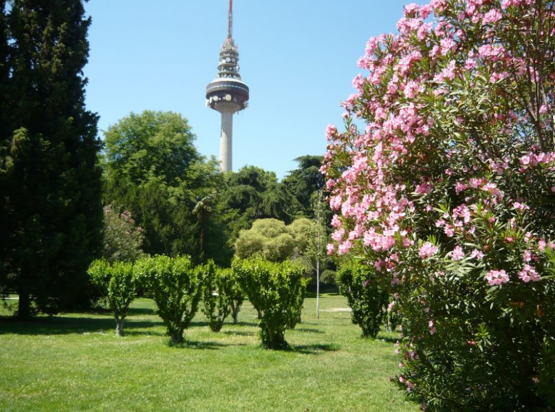 7 parques más románticos de Madrid para pasear en pareja