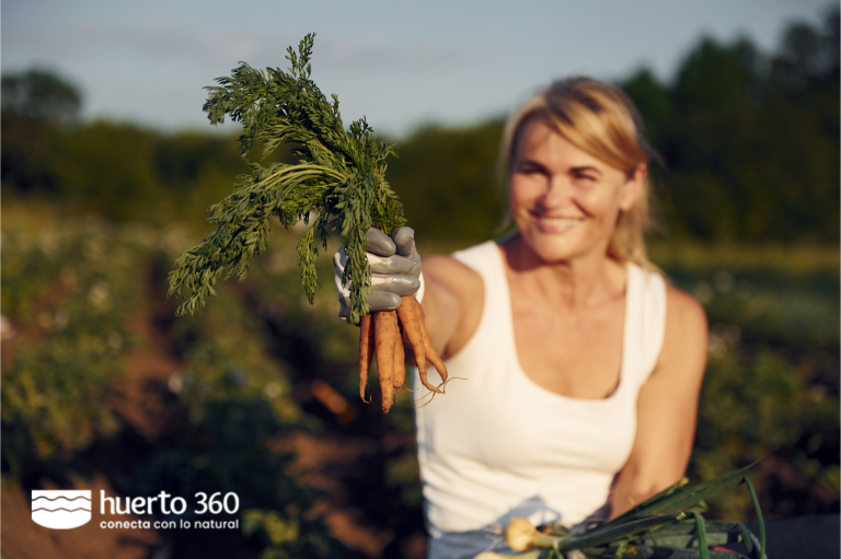 Huerto360, la primera plataforma gratuita que fomenta la agricultura urbana