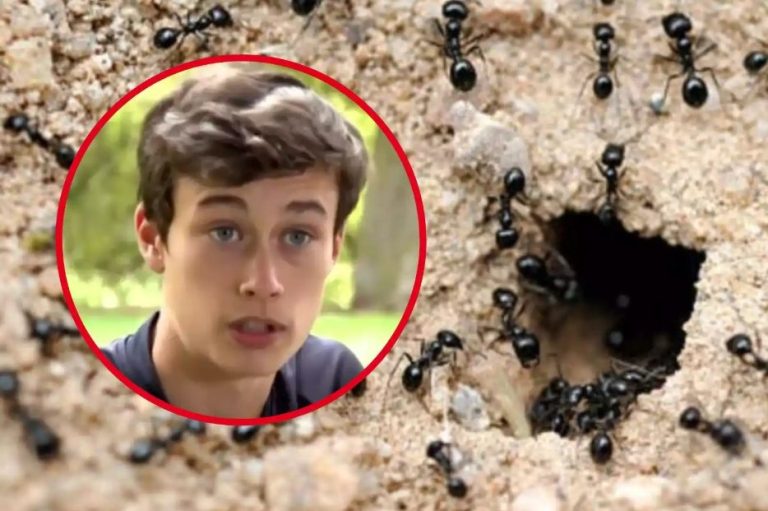 Jorge Rey vuelve a liarla con sus nuevas predicciones sobre el tiempo