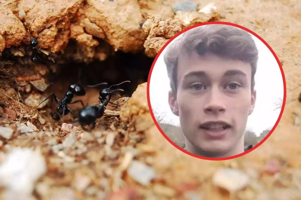 Adaptación al cambio climático