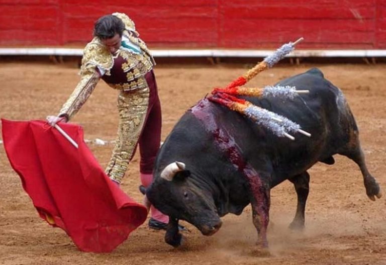 La hemeroteca deja en evidencia el odio de Echenique a la tauromaquia