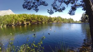 Por qué no deberías pisar la Sierra este domingo: el error que te hará perder el día en El Escorial