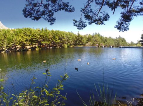 Por qué no deberías pisar la Sierra este domingo: el error que te hará perder el día en El Escorial Por qué no deberías pisar la Sierra este domingo: el error que te hará perder el día en El Escorial