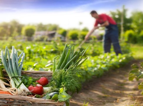 agricultura sostenible