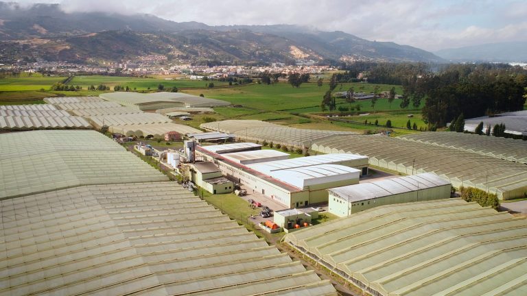 Innovaflora presenta informe sobre el progreso hacia los ODS