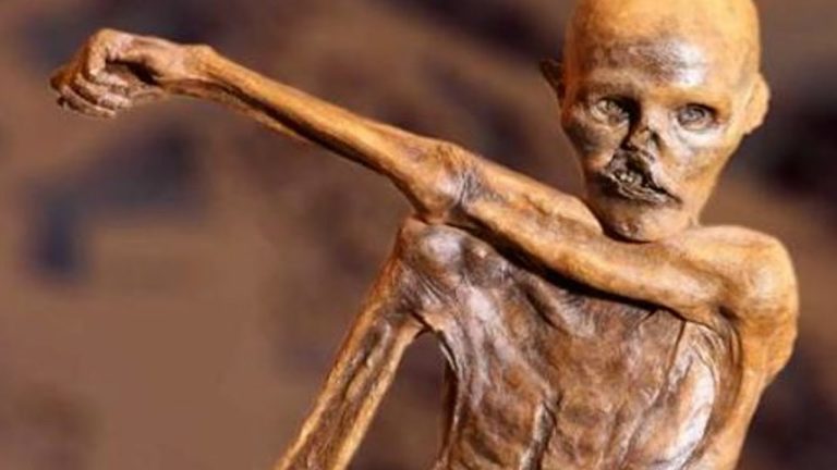 Ötzi, el hombre de hielo ¿Quién fue?