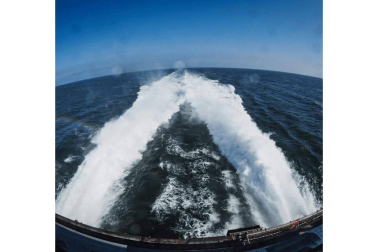 Embarcaciones deportivas se modernizan con avances tecnológicos