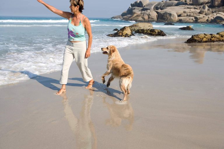 Descubrir el buscador pet friendly de ADOPTA y encontrar los mejores sitios para disfrutar con el perro