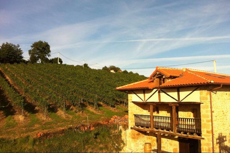 Una historia de amor y respeto por el vino y la 'tierruca', Bodegas Vidular