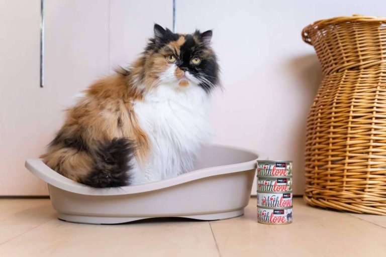 Satisfaction presenta With Love, la nueva gama de comida húmeda para perros y gatos