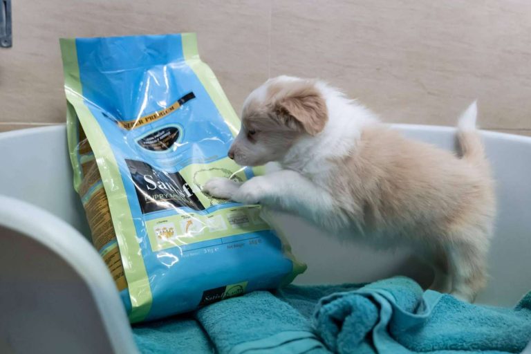 El tamaño de la croqueta del pienso Satisfaction Super Premium