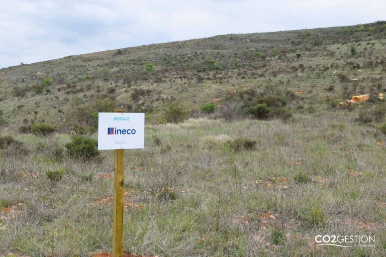 INECO compensa más de 200 toneladas de CO₂ gracias a una plantación forestal en Burgos
