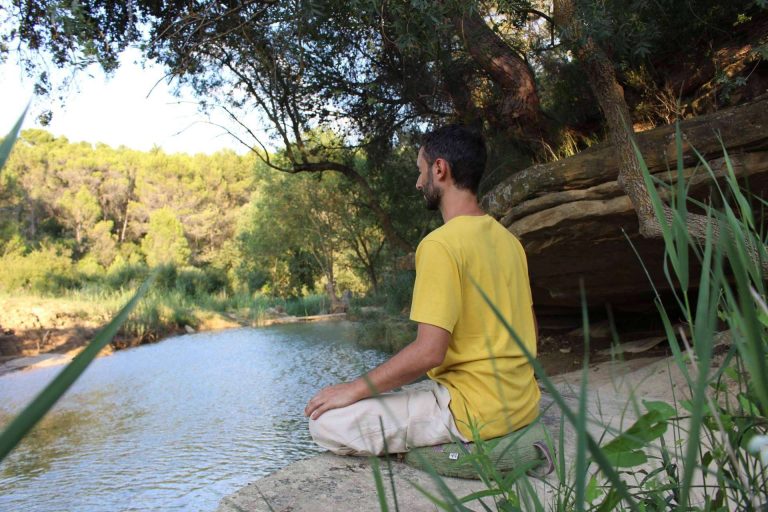 Conocer a fondo el yoga integral de la mano de los cursos para profesores de la Escuela de Yoga Integral Mahashakti