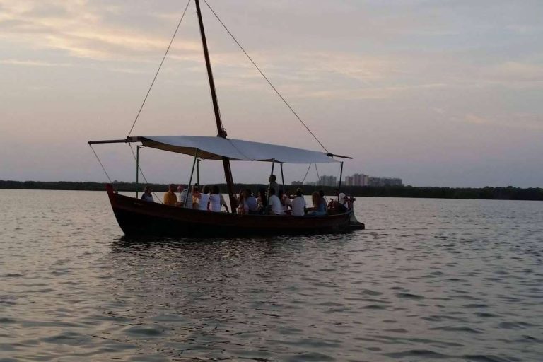 Descubrir los encantos de la Albufera de la mano de Albumar