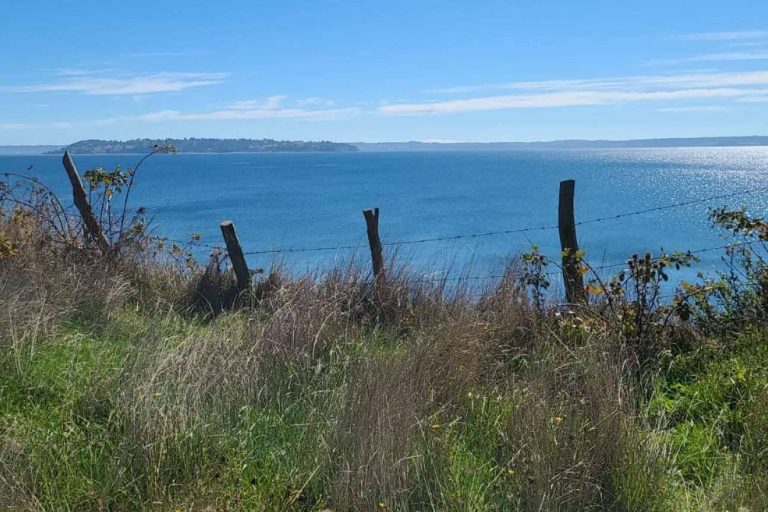 En Chiloé es posible teletrabajar en medio de la naturaleza