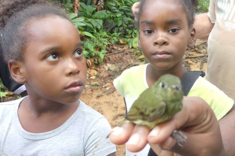 ¿Cómo vivir voluntariados ambientales internacionales? ONGVoluntariado