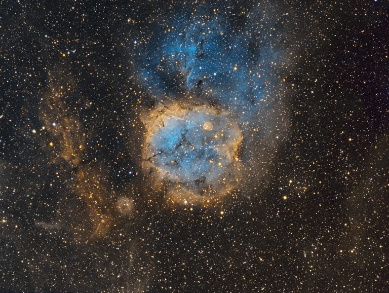 El gato de Alicia en el País de las Maravillas es real, aunque no tan fácil de observar