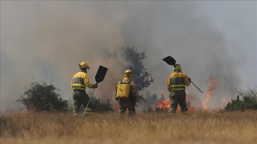 El 2022, un año para los récords de calor
