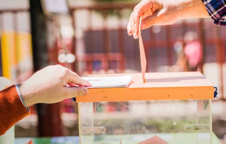 Una empresa calcula que habría que plantar 2.035 árboles para compensar la huella de carbono de la producción de papeletas electorales