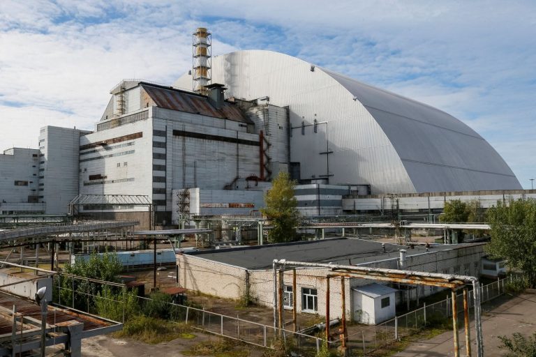 Chernobyl ¿Cuáles son las mutaciones de animales más sorprendentes?