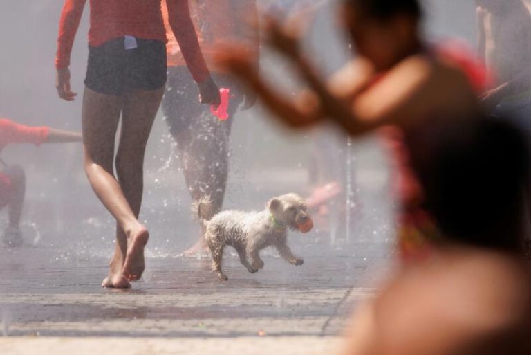 Más de 30 provincias estarán en alerta por otra ola de calor, con Córdoba y Jaén en riesgo extremo y hasta 44ºC
