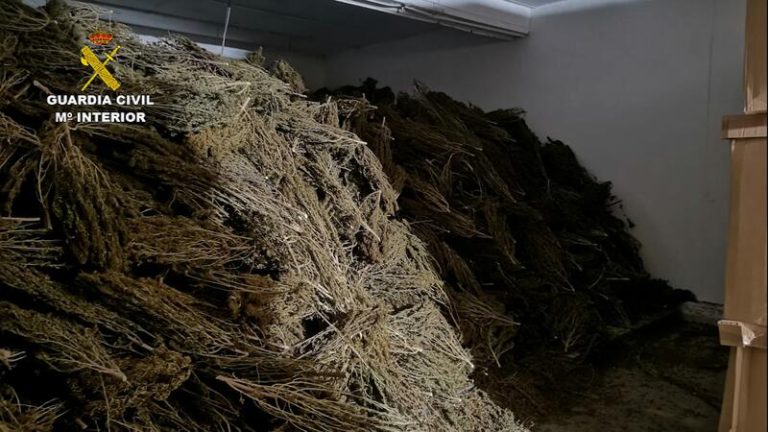 La Guardia Civil se incauta en Águilas (Murcia) más de cuatro toneladas de cannabis