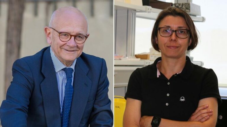 Un compuesto presente en el café mejora parámetros metabólicos durante el envejecimiento, según un estudio